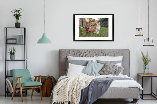 Affiche avec cadre Chien - Chat - Jardin - 90x60 cm