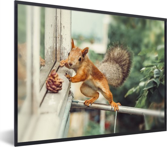 Photo en cadre - Un curieux écureuil sur un poteau de fer cadre photo noir sans passe partout 40x30 cm - Affiche sous cadre (Décoration murale salon / chambre)