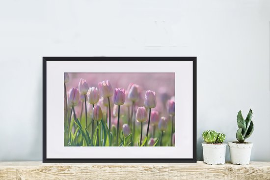Photo encadrée - Tulipes roses au printemps cadre photo noir avec passe-partout blanc 60x40 cm - Affiche encadrée (Décoration murale salon / chambre)