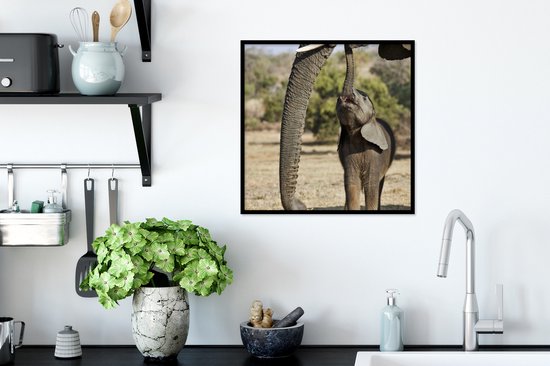 Cadre photo avec affiche - Bébé éléphant communique avec sa mère - 40x40 cm - Cadre pour affiche