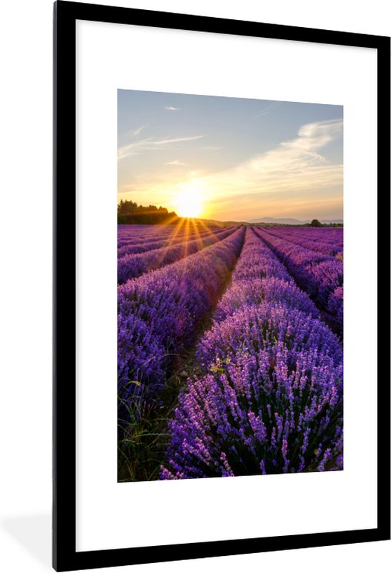 MuchoWow Tuinposter 80x120cm Bloemen Lavendel Paars Lucht