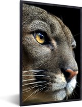 Cadre photo avec affiche - Puma - Animaux sauvages - Portrait - 40x60 cm - Cadre pour affiche