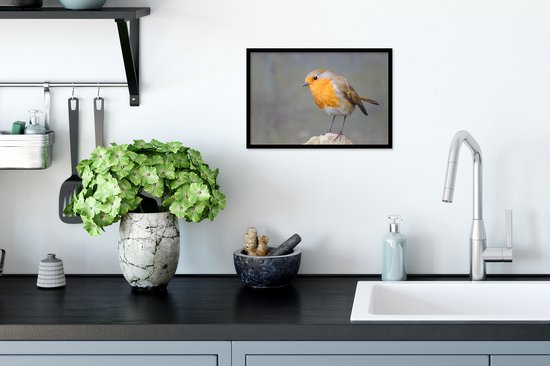 Cadre photo avec affiche - Vogel - Robin - Rocher - 30x20 cm - Cadre pour affiche