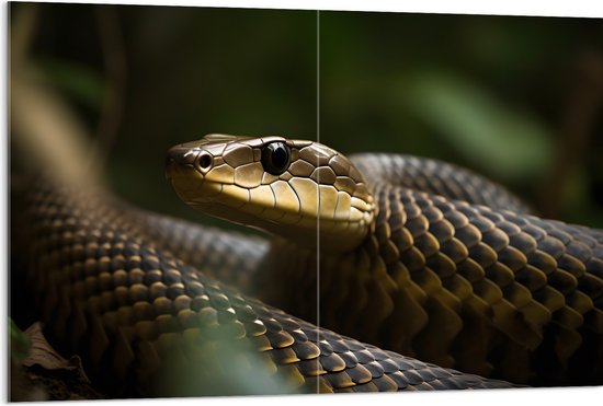 Acrylglas - Zwarte mamba slang in de natuur - 120x80 cm Foto op Acrylglas (Met Ophangsysteem)
