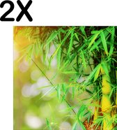 BWK Textiele Placemat - Groene Bamboo - Set van 2 Placemats - 40x40 cm - Polyester Stof - Afneembaar