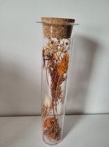 Tube en Verres 25 cm avec fleurs séchées