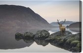 Painting King - Tableau sur toile Cerf au bord du lac - 30 x 20 cm