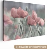 Canvas schilderij - Bloemen - Natuur - Roze - Botanisch - Foto op canvas - Canvas bloem - Muurdecoratie - 180x120 cm - Canvasdoek