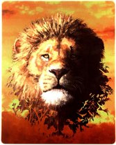 Le Roi Lion [Blu-Ray 3D]+[Blu-Ray]