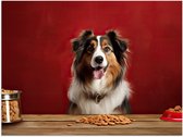Poster Glanzend – Dier - Hond - Eten - Brokken - Bakje - 80x60 cm Foto op Posterpapier met Glanzende Afwerking