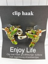 Vestsluiting - clip met haakje - Kolibrie - vogel - voor - vest - sjaal - omslagdoek in kleur antiek goud look.