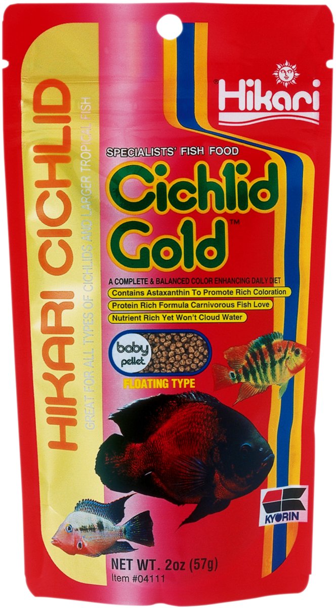Hikari Cichlid Gold Baby