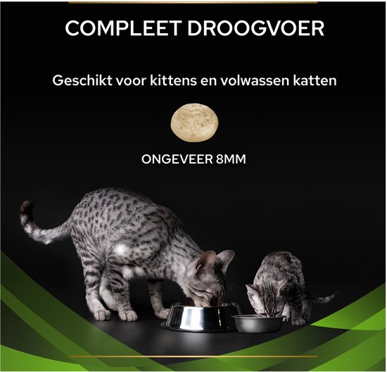 Twee gestreepte katten die uit voerbakken eten, met een brok ter grootte van 8mm.