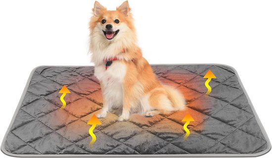 Een Pomeriaan zit op een grijs, gewatteerd kleed waar gele pijlen omheen om warmte aan te geven.