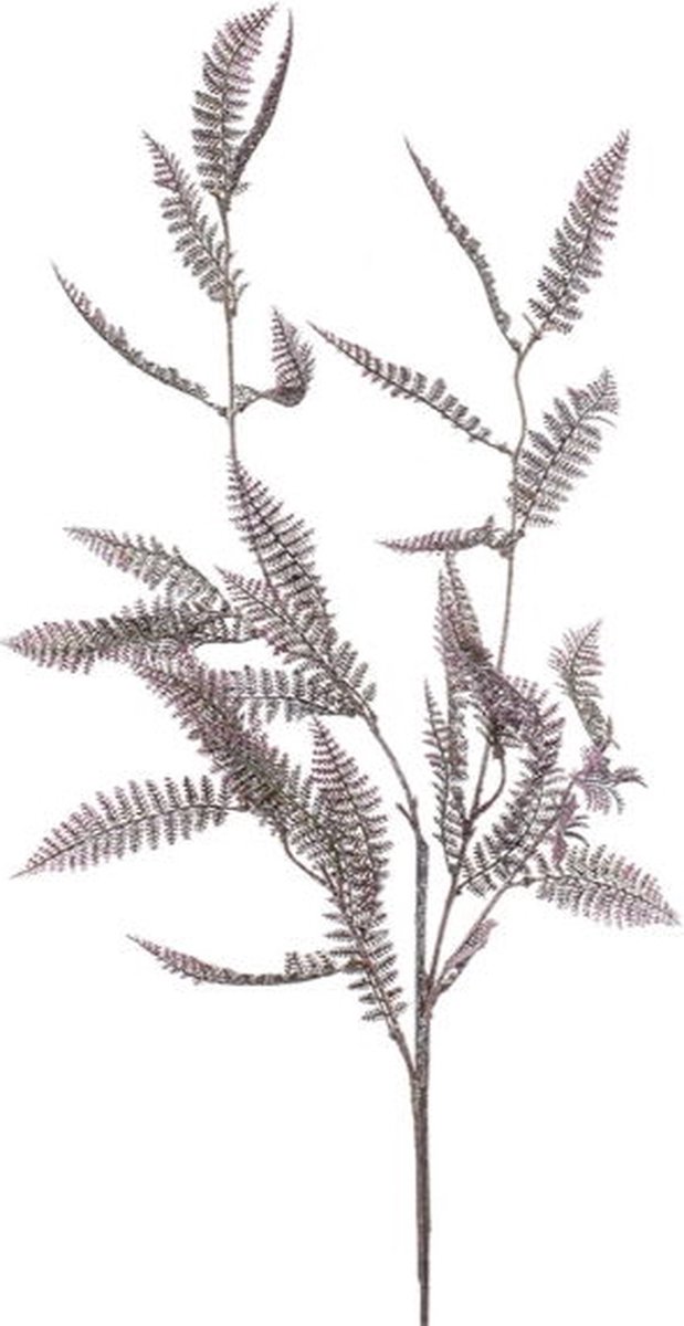 Hortus Kunsttak fern purple, 95 cm Hortus onbekend