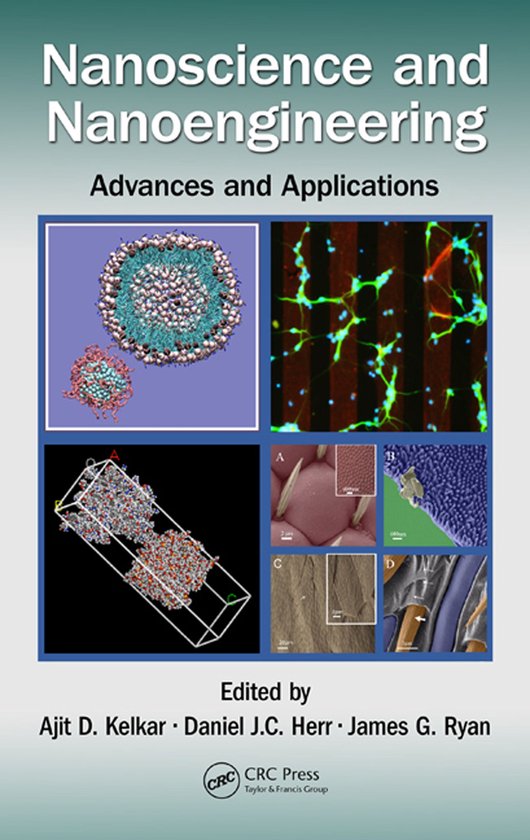 Nanoscience and Nanoengineering - cover