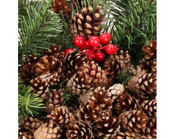 Dennenappels | Bruin | 500g