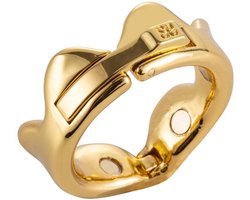 Sevanda - Ring of Kings - Eikelring Kroon - Maat M - Goud