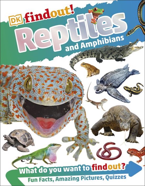 DKfindout! - DKfindout! Reptiles and Amphibians - cover