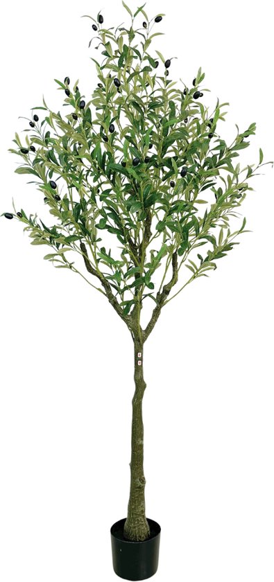 Olijfboom Buxibo 1,5 mètre - 1080 feuilles - 60 fruits - Plante artificielle - Vert