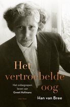Het vertroebelde oog