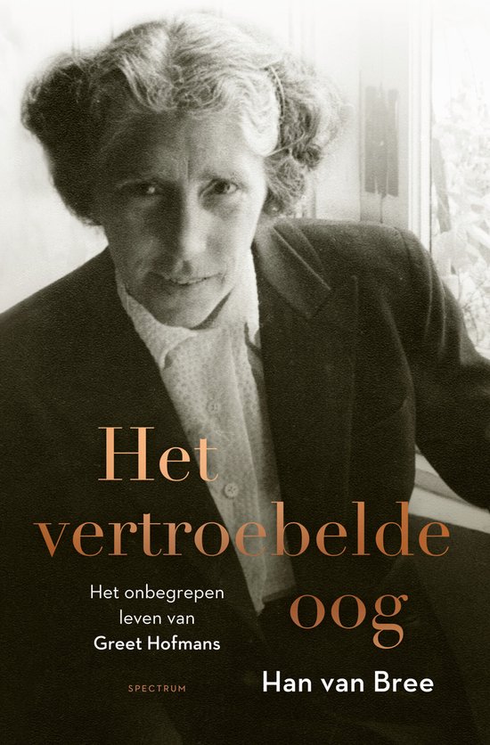 Het vertroebelde oog