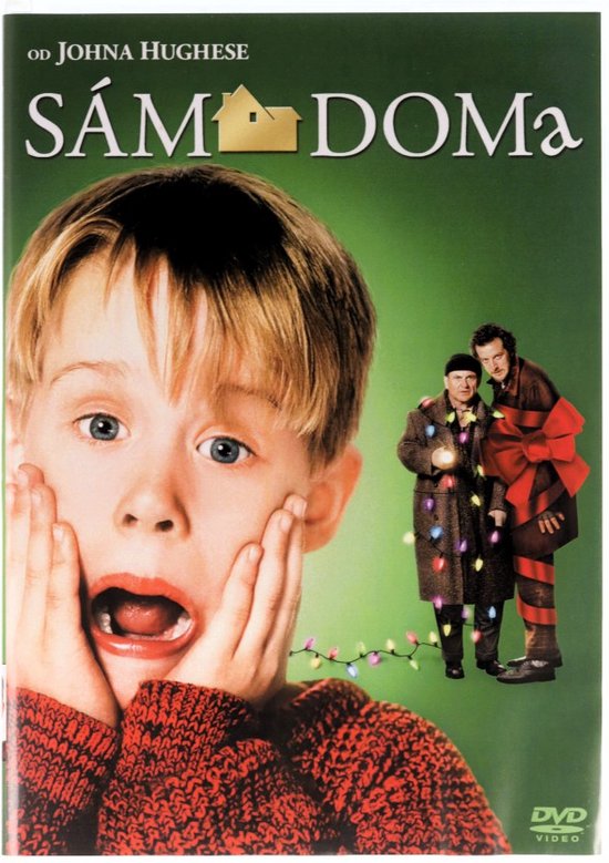 Pochette DVD de 'Maman, j'ai raté l'avion'. Gros plan sur Kevin McCallister, mains sur le visage, avec les deux bandits en arrière-plan.