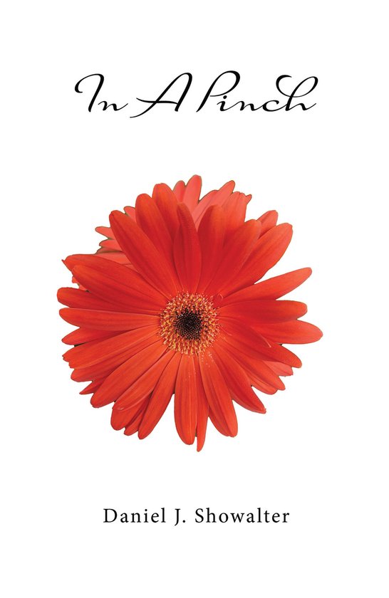 In A Pinch - cover