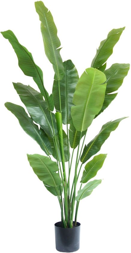 Plante Strelitzia Artificielle 180cm