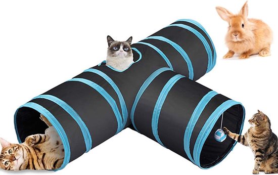 Oefenstok voor katten | Elektrische oefening