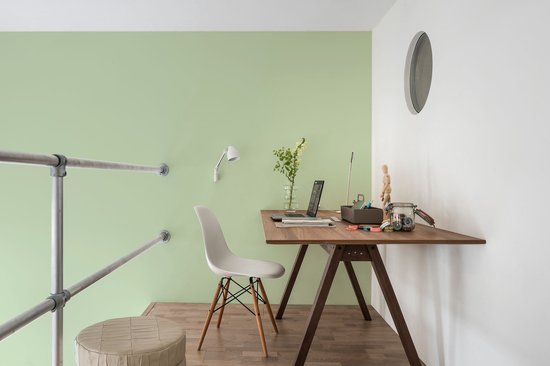 Levis EasyClean - Mur Mat Mix - Vert Clair C20 - 1L