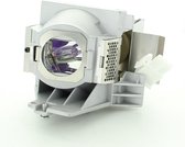 BenQ 5J.JEE05.001 Projector Lamp (bevat originele P-VIP lamp)