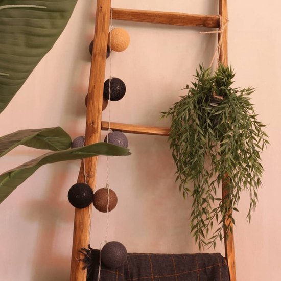 Een groene hangplant met lange, slanke bladeren, hangend aan een houten ladder naast een plant.