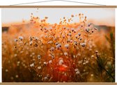 Schoolplaat – Madeliefjes met Zon - 120x80cm Foto op Textielposter (Wanddecoratie op Schoolplaat)