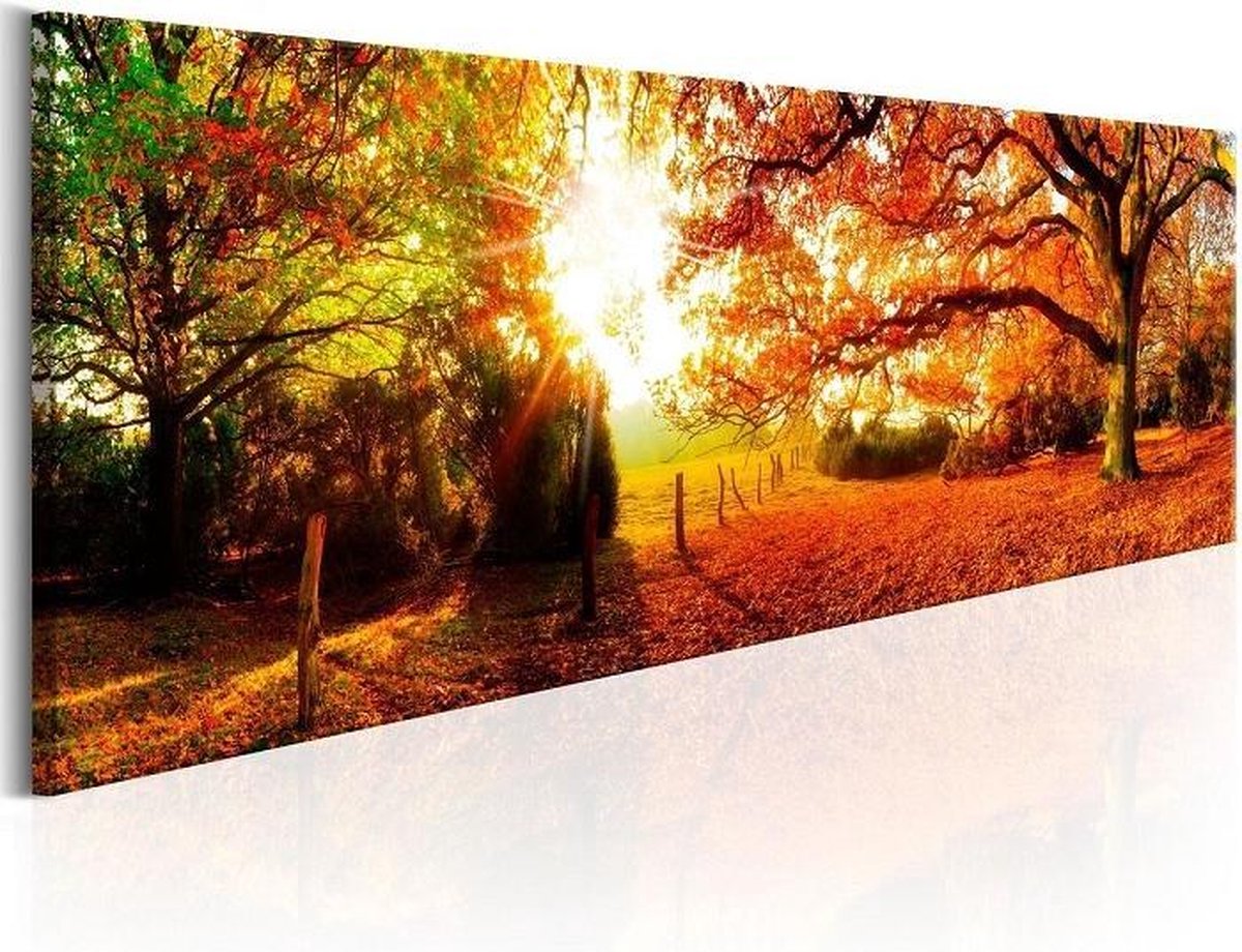 karo-art Schilderij - Zonnig Bos, 120x40cm. Incl. ophang haakjes Multikleur