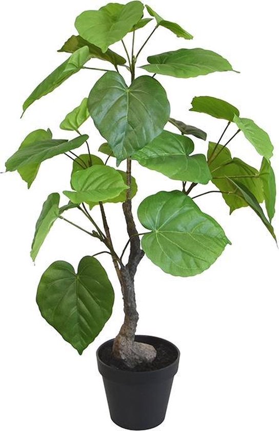 Ficus Umbellata kunstplant 60cm
