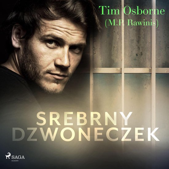 Srebrny dzwoneczek - cover