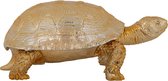 Decoratieve doos schildpad metaal goud (r-000SP37246)
