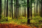 Schilderij natuur en bos - herfstbos - canvas - schilderijen op canvas - woonkamer - 120 x 80 cm
