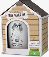 Mok - Hond - Cadeau - Cavalier King Charles Spaniel - Gevuld met een dropmix - In cadeauverpakking met gekleurd lint