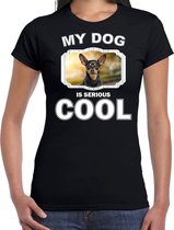 Dwergpinschers honden t-shirt my dog is serious cool zwart - dames - Dwergpinscher liefhebber cadeau shirt L