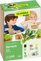 Sembra Kids - Spinazie Mini Kit