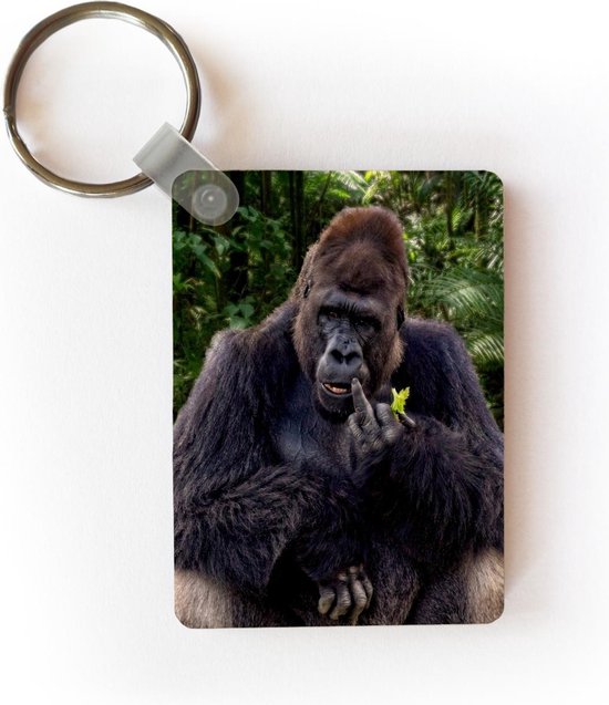 Porte-clés Rude animals - Un gorille dans la jungle porte-clés plastique -  porte-clés... | bol