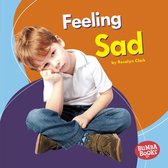 Bumba Books ® — Feelings Matter - Feeling Sad