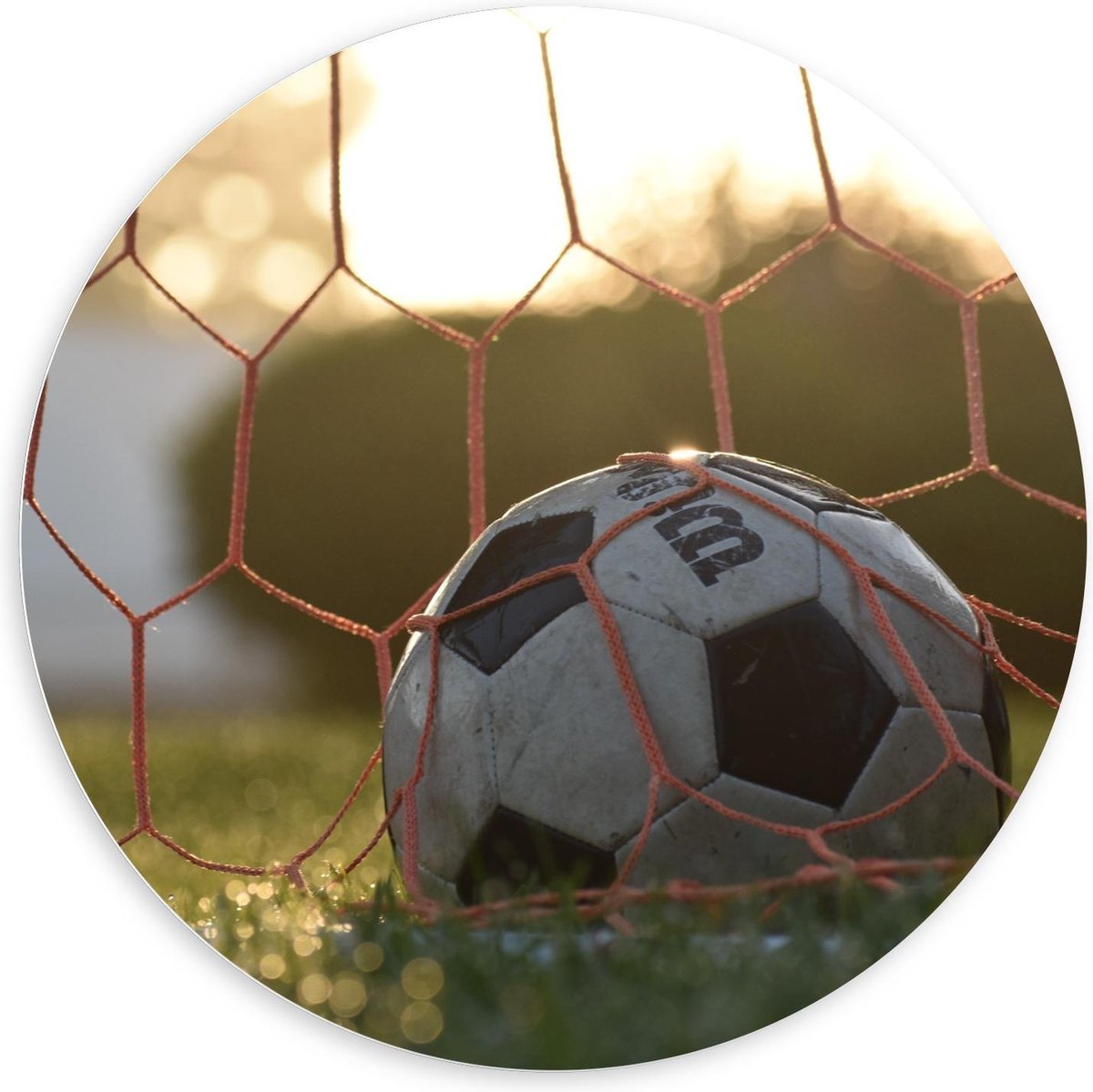 KuijsFotoprint - Schilderij - Voetbal In De Goal - Zwart, Wit, Groen En Rood - 100 X 100 Cm