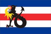 Vlag gemeente Slochteren 200x300 cm