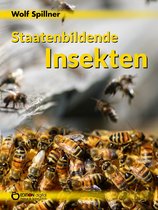 Staatenbildende Insekten