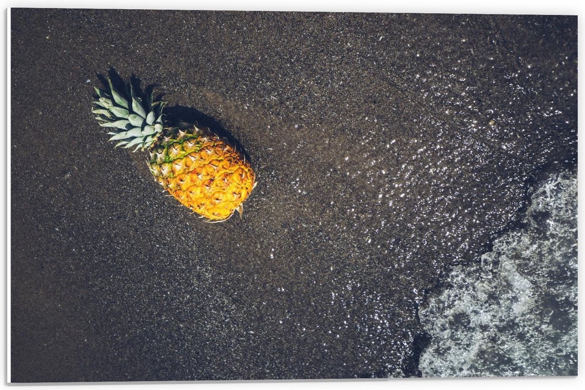 Forex - Ananas bij het Water - 60x40cm Foto op Forex