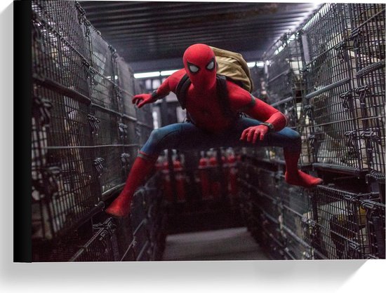 Toile - Spiderman at Cages - 40x30cm Photo sur Toile Peinture (Décoration  murale sur