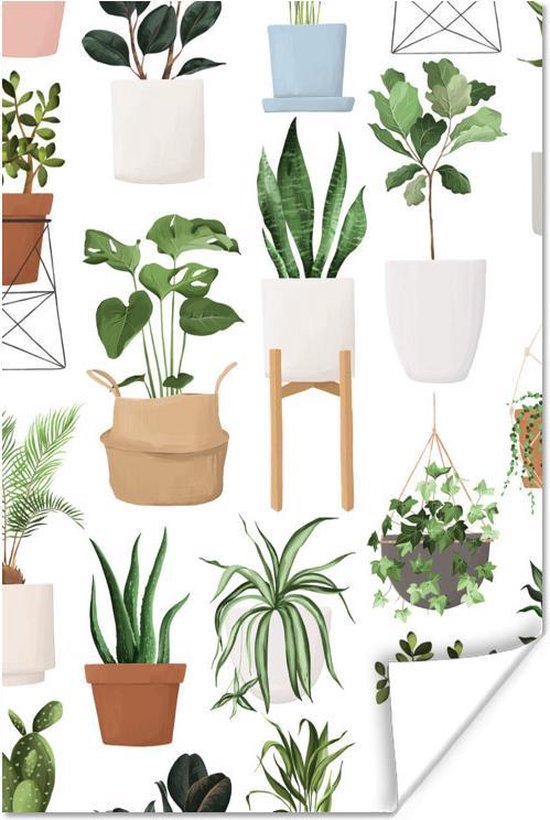 van verschillende planten op witte achtergrond 80x120 cm - Foto print... bol.com